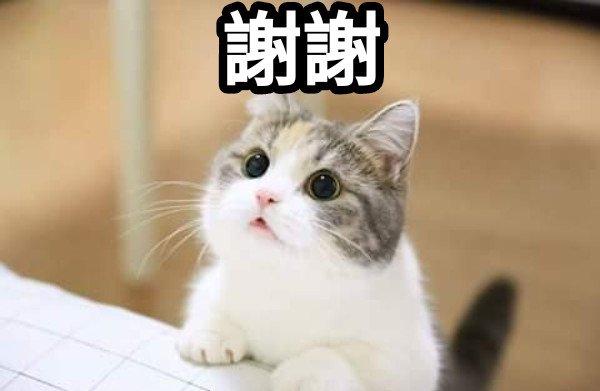 謝謝