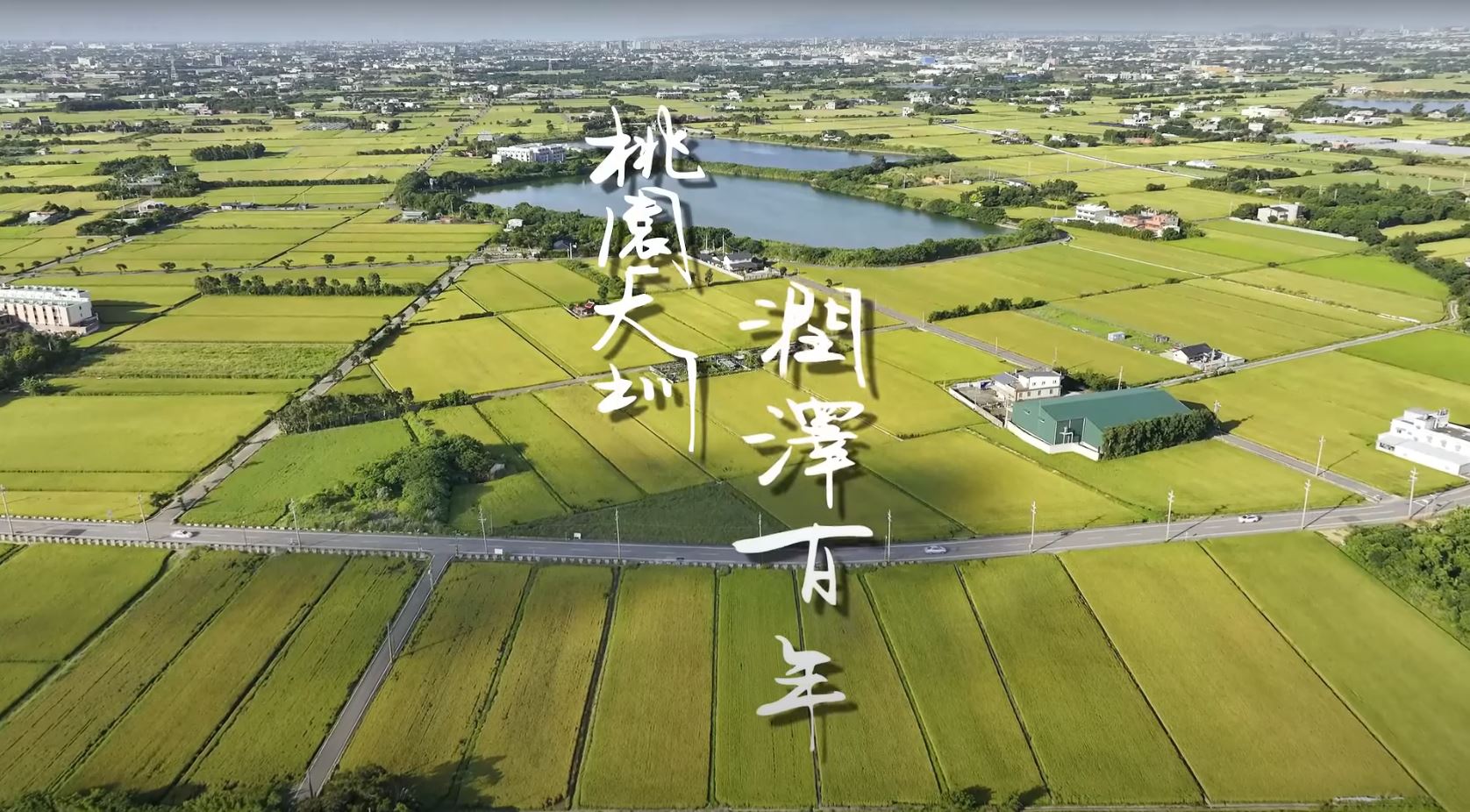 大螢幕